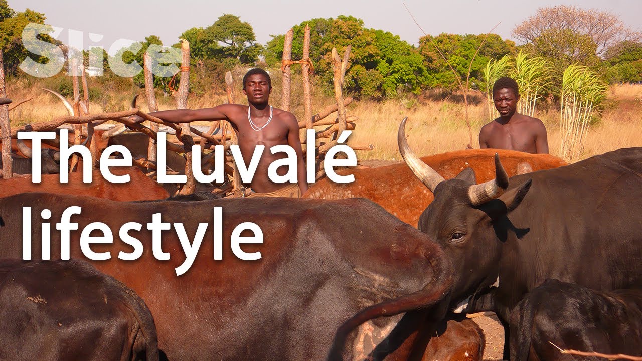 Zambia: The preparation of the Mukanda ceremony I SLICE