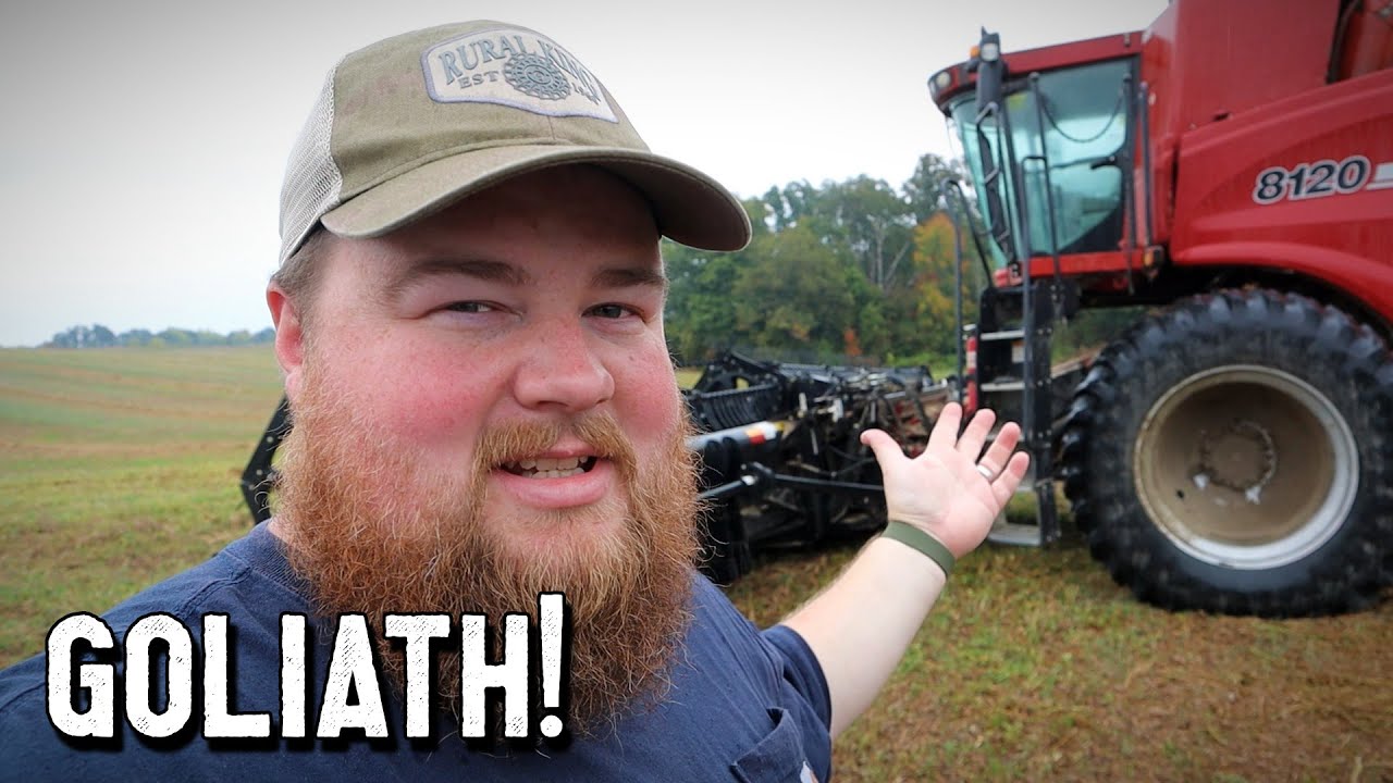 THEY'RE GONE! - Soybean Harvest Day
