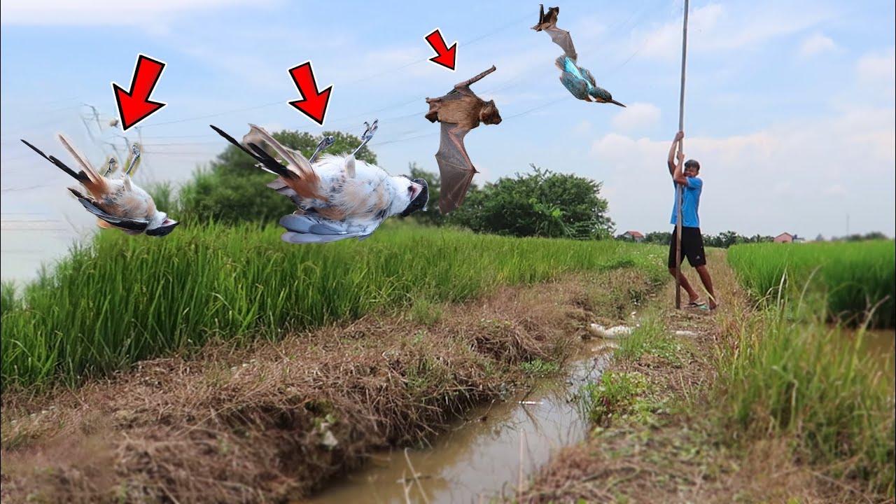 GIĂNG LƯỚI CÓ 1 ĐÊM MÀ THI NHAU DÍNH KẾT THẬT - Lạ Vlog