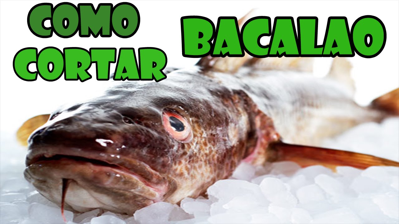 Como Filetear un Skrei (Bacalao)