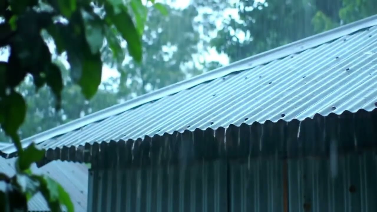Best Rain Sounds to Fall Asleep Quickly  Heavy Rainstorm on Cabin Roof & Loud Thunderstorm Night