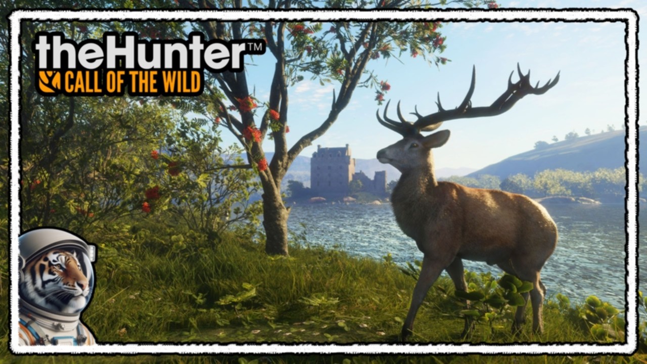 We're back! Monday Night Hunt! | The Hunter: Call of the Wild