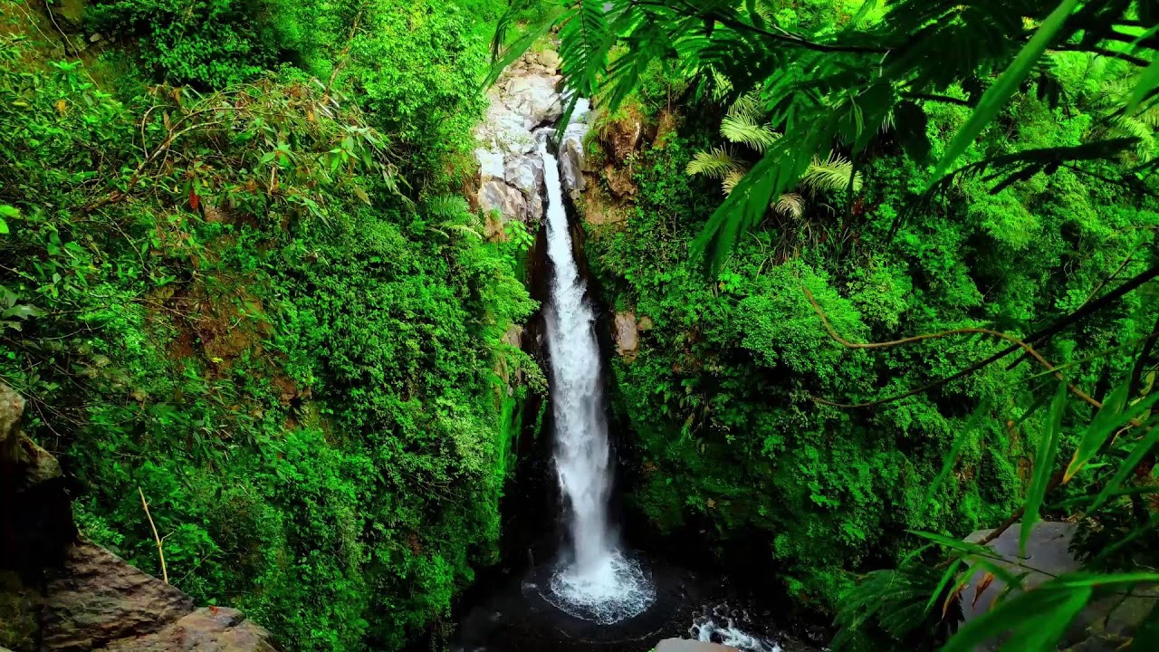 Relaxing River Flow to Release Stress, Calm Mind and Heal Emotionally