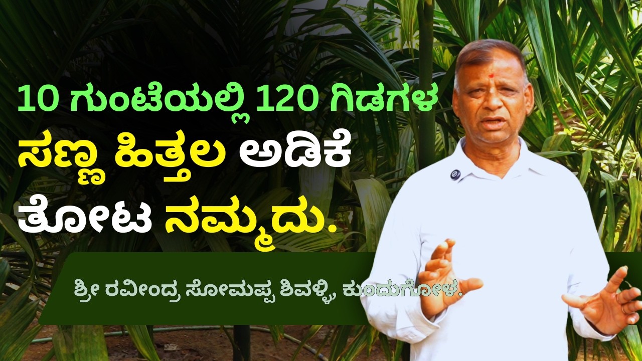 ಪೋಷಣೆ ಸರಿಯಾಗಿದ್ರೆ ಅಡಿಕೆಗೆ ಯಾವ ಸೀಮೆಯಾದ್ರೇನು..? ಬಯಲುಸೀಮೆಯ ಹಿತ್ತಲ ಅಡಿಕೆ ತೋಟ.