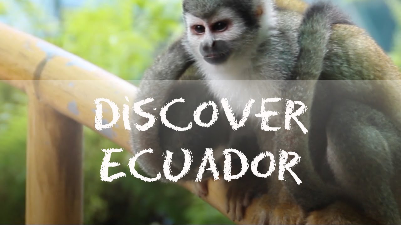 Trailer SOLEQ.travel - Discover ECUADOR