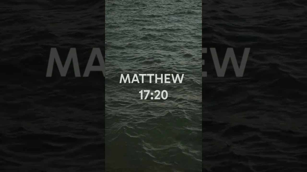 This Bible Verse Could Change Your Entire Day! #dailybibleverse #bibleverse #shorts