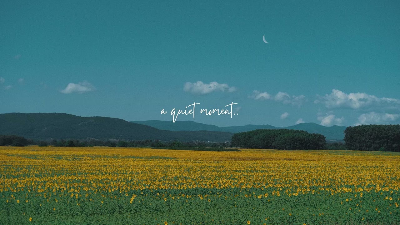 A Playlist for a Quiet Life