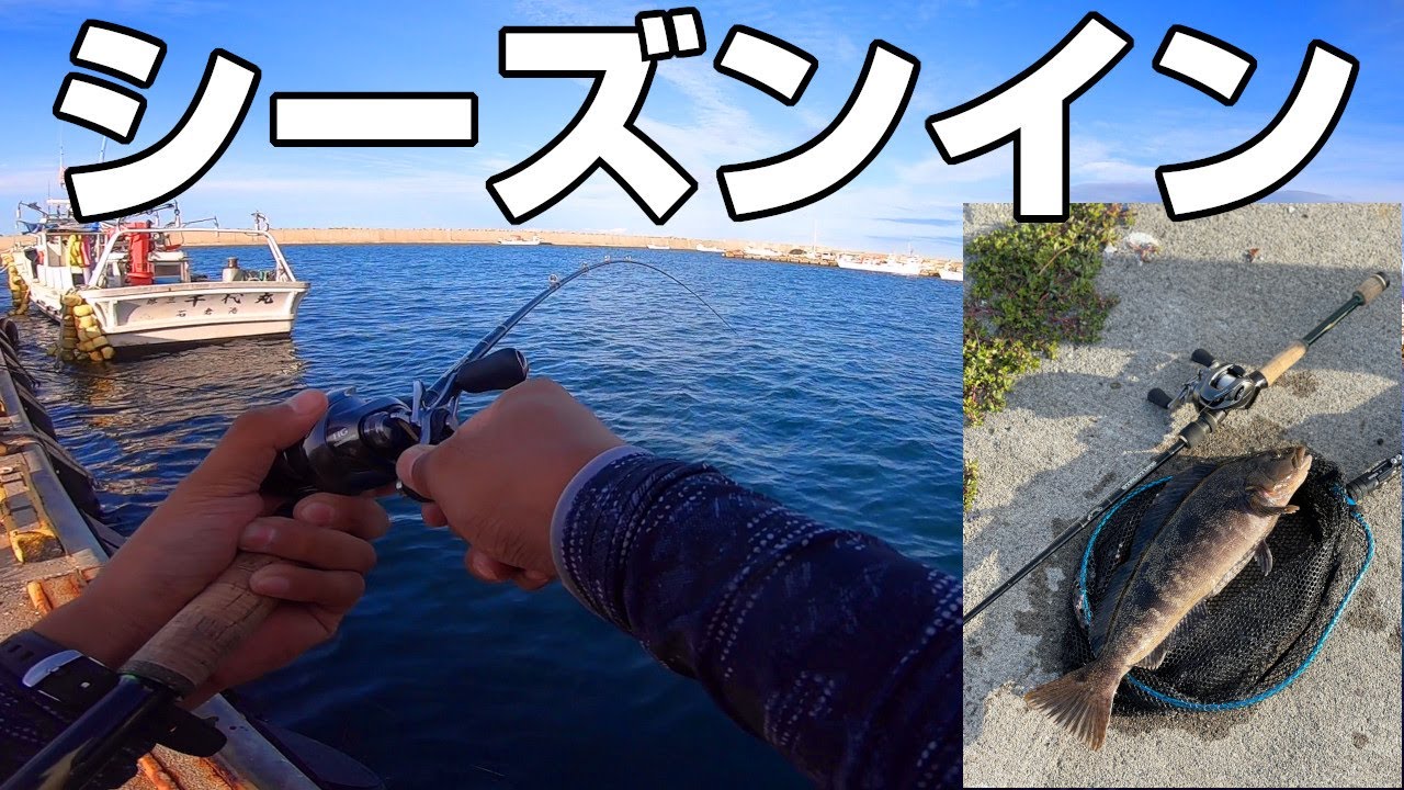 かめむしとロックフィッシュ