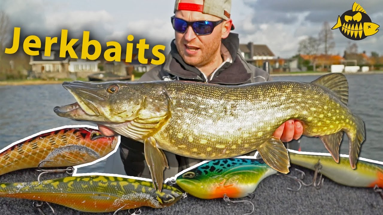 Alles over jerkbait vissen in het voorjaar met Thijs vd Sanden!