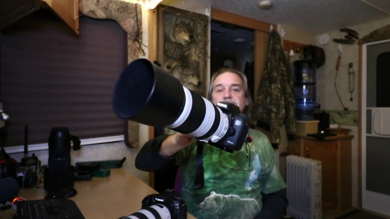 From the 80D to the 7D Mark ii for Wildlife Photography