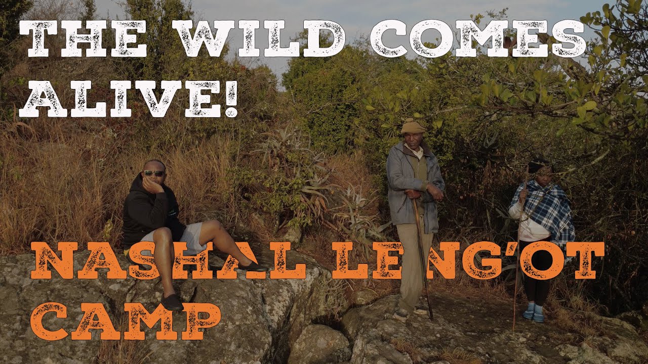 🌅 Sunrise, Wildlife & Camp Vibes | Breaking Dawn at Nashal Lengot!