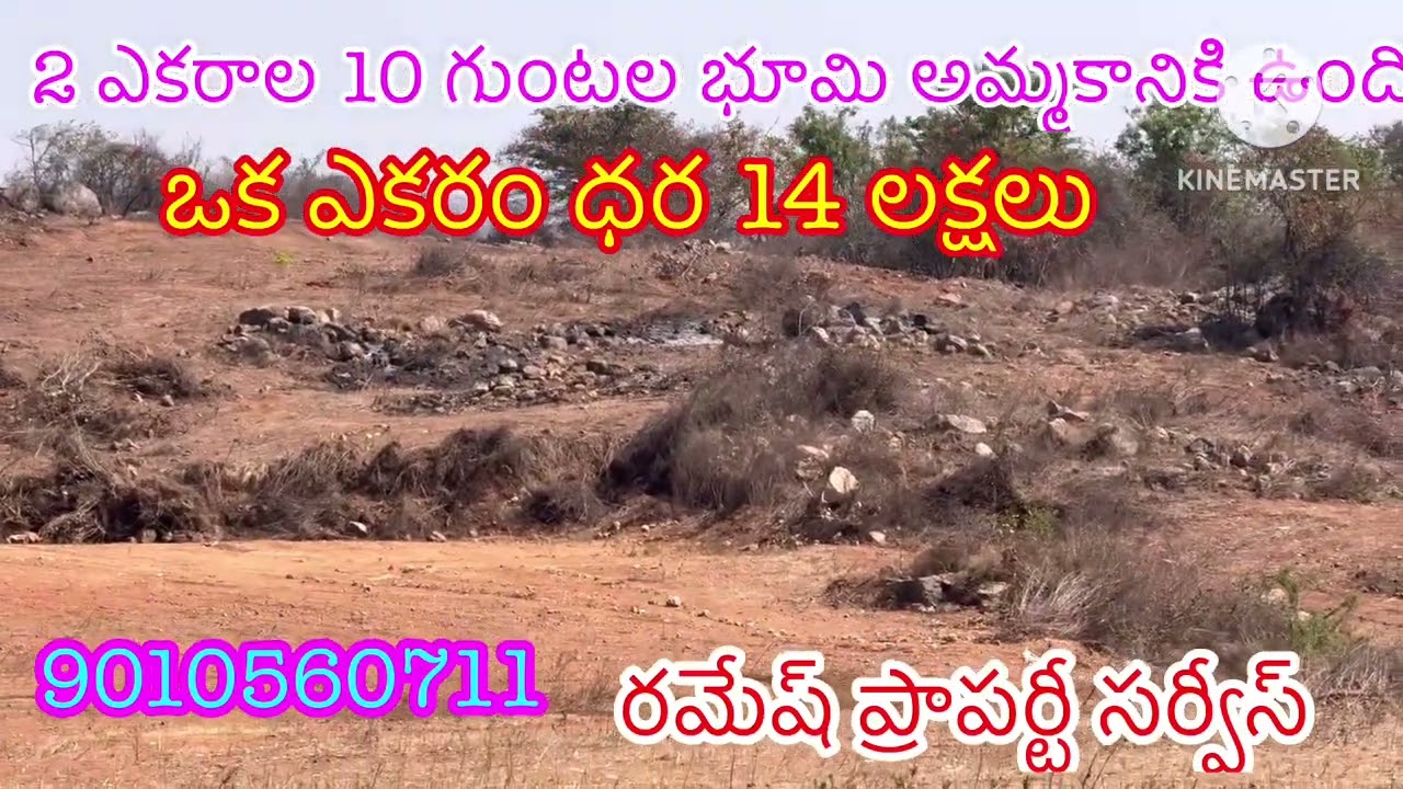 తక్కువ ధరలో 2 ఎకరాల 10 గుంటల భూమి అమ్మకానికి ఒక ఎకరం ధర14 లక్షలు రైతు దగ్గర ఉంది జనగామ జిల్లాకి22 km