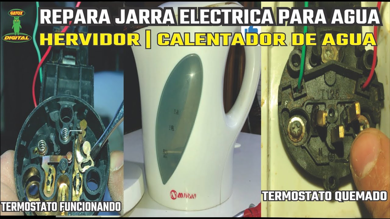 REPARAR CALENTADOR DE AGUA ELECTRICO | HERVIDOR | PAVA | JARRA ELECTRICA🔴✅