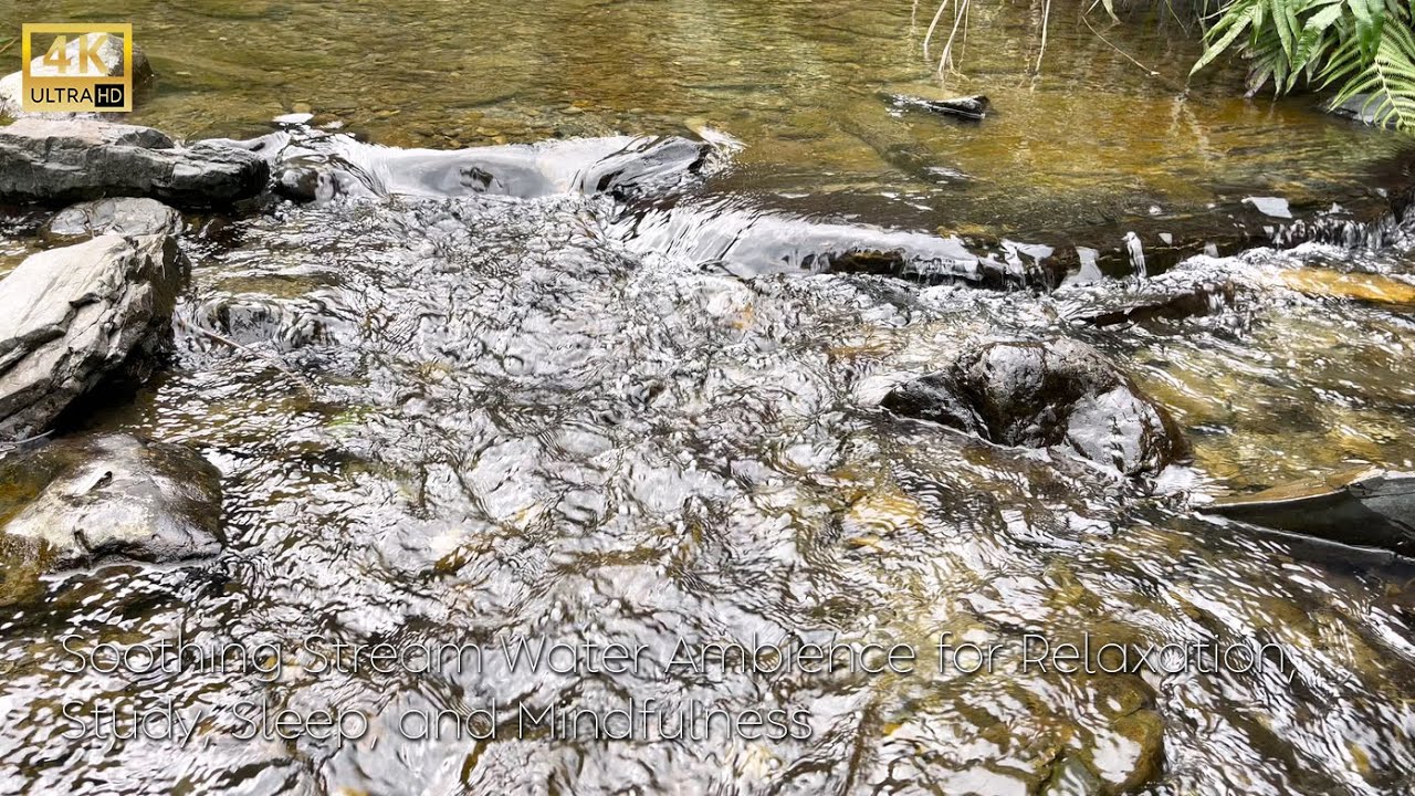 Beautiful Mountain Stream Sounds | Pure River Water Sounds | Calm Creek ASMR for Sleep & Relaxation