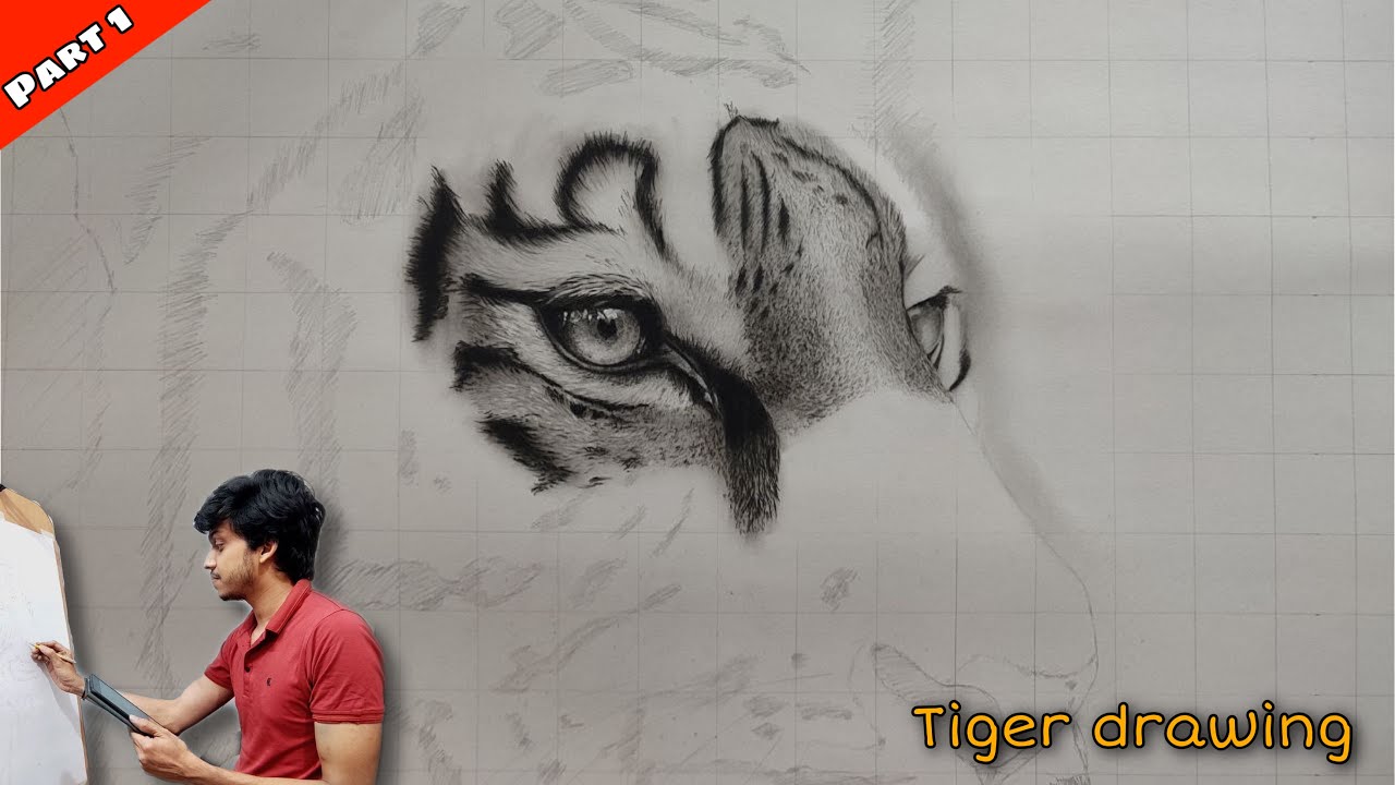 How To Draw Realistic Tiger, Step By Step Shading Tutorial | Ep. 1 🔥😍