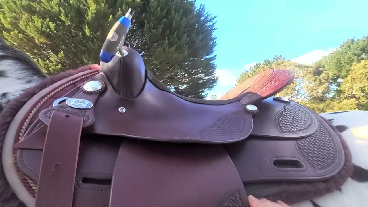 Will the new XW adjustable flex tree fit my big fattie?
