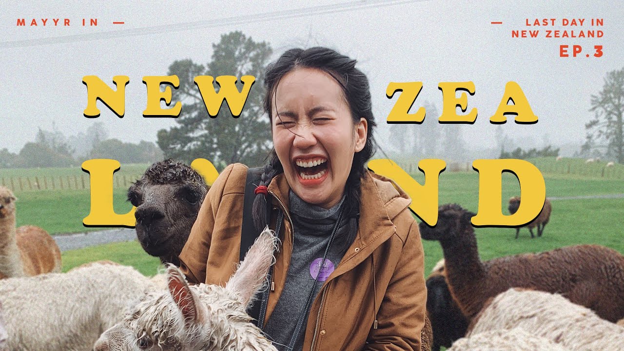 บทสรุปการเดินทาง.. ใครไม่แลนด์ แต่นิวซีแลนด์!!!| MayyR in New Zealand