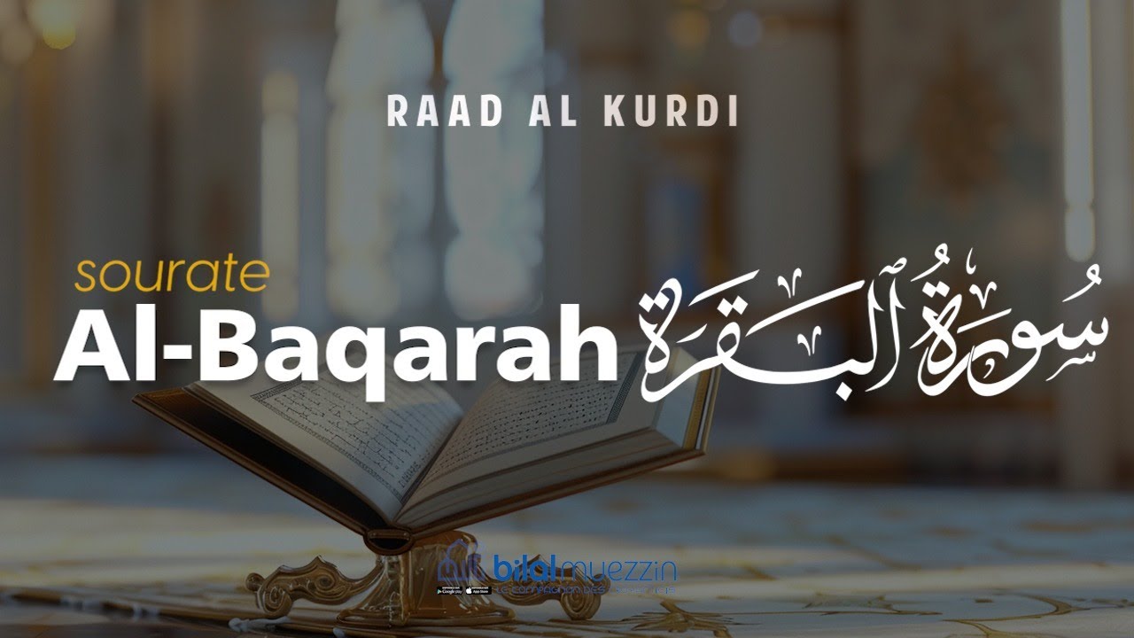 Récitation apaisante de la sourate Al-Baqarah (البقرة) par Raad Al Kurdi | By BILAL MUEZZIN
