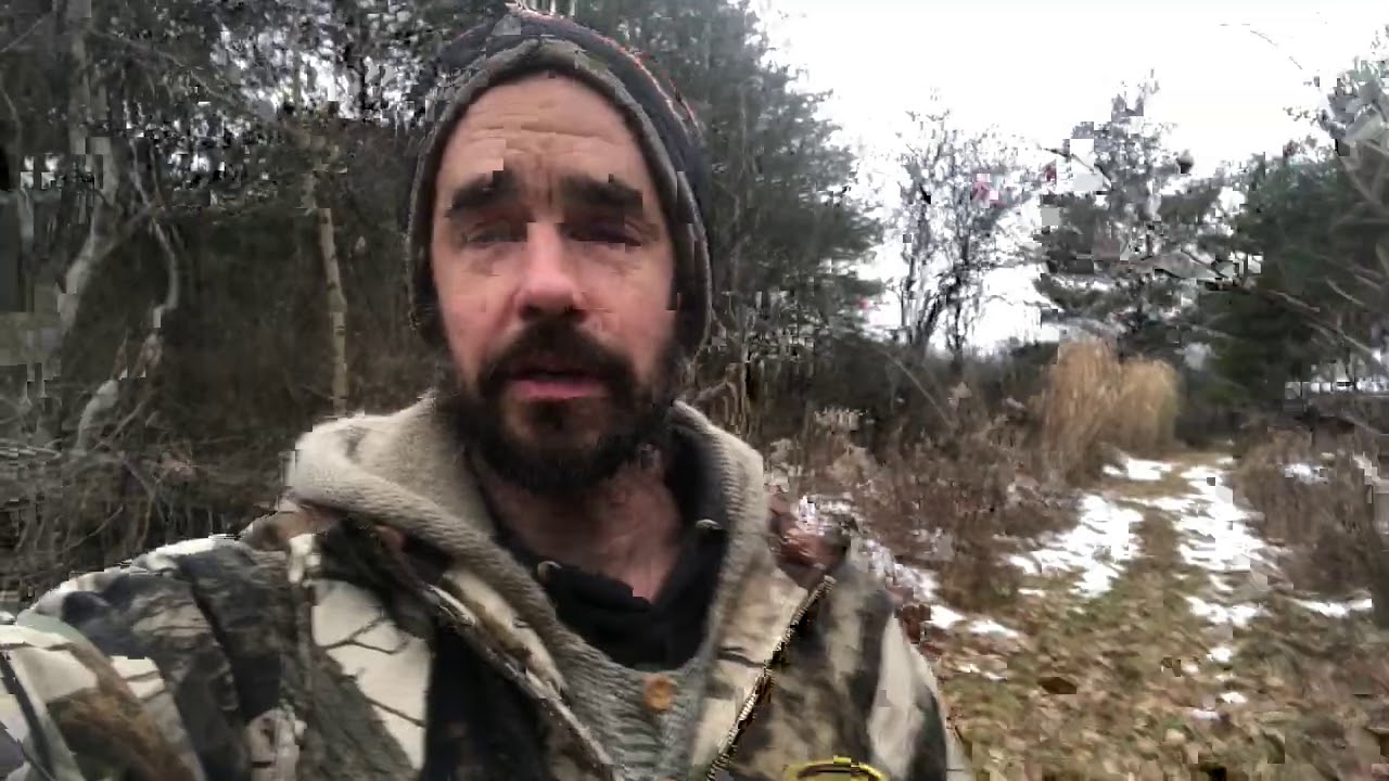 Food Forest - Thoughts on Clearing Existing Over Story for Development