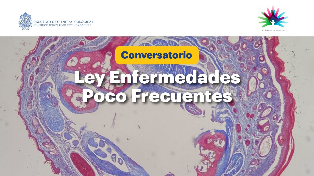 Conversatorio: Ley Enfermedades Poco Frecuentes