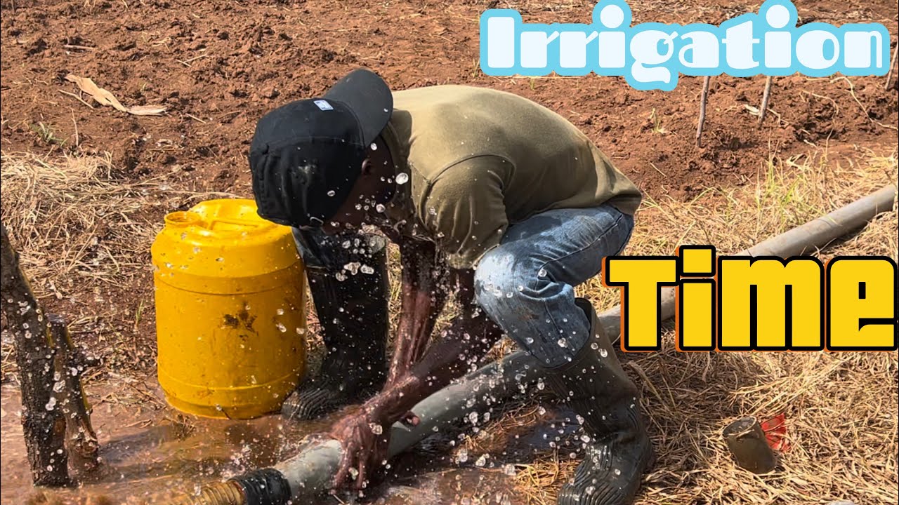 Irrigating My Farm After a 2-Year Drought