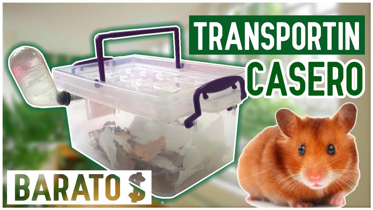 Como HACER un TRANSPORTIN CASERO para HAMSTER