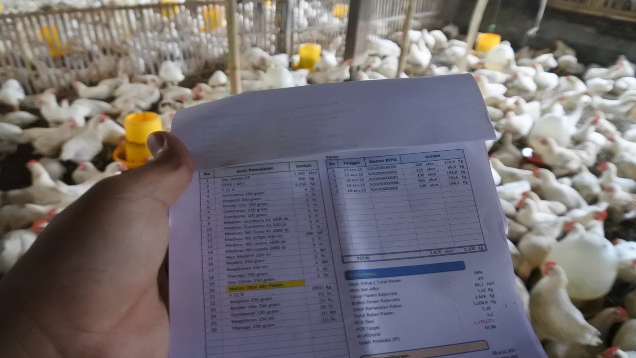 Анализ капитала и прибыли 1500 партнерских систем птицеводства мужского пола