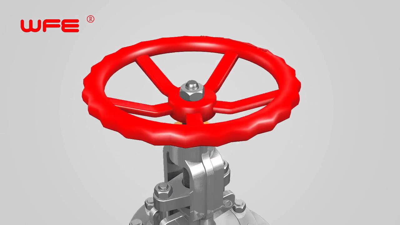 WFE API Globe Valves 3D Demonstration