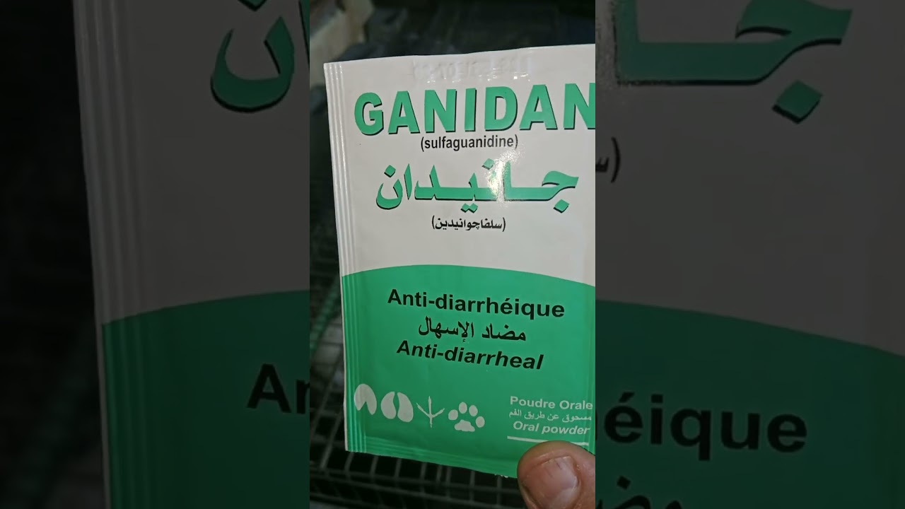 الإسهال القاتل للأرانب، في هذا الفيديو طريقة الوقاية من هذا المرض القاتل للأرانب 