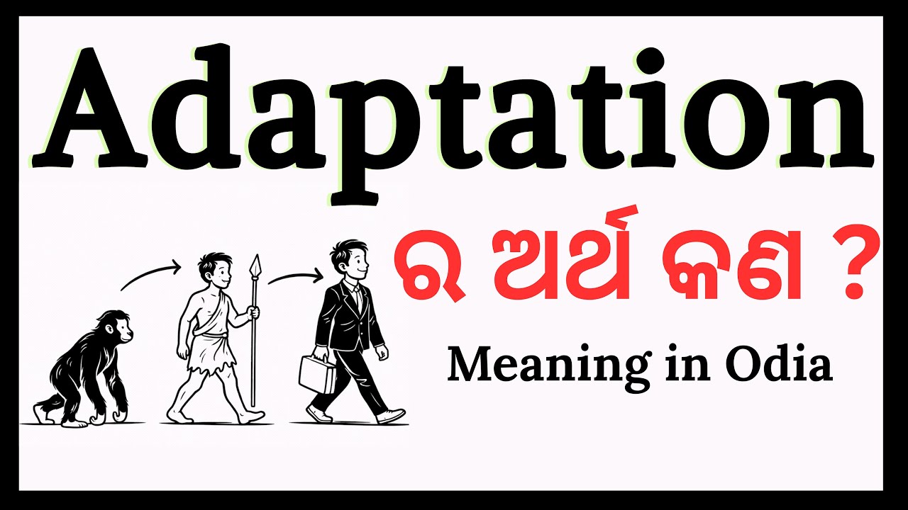 Adaptation Meaning in Odia | Adaptation ka Odia Meaning with Examples