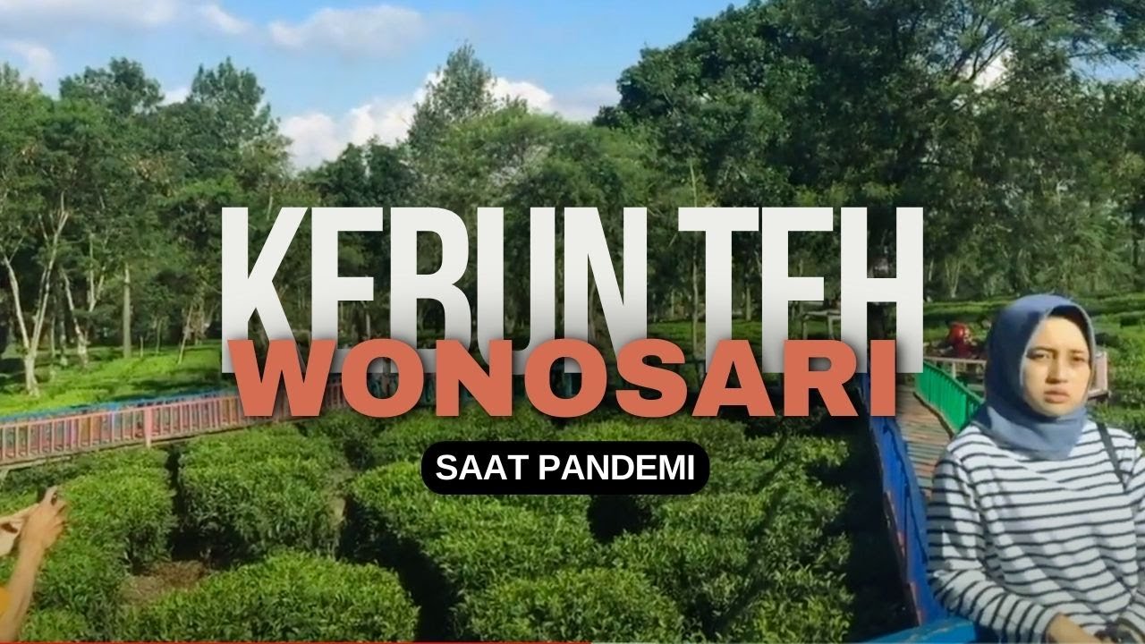 Kebun Teh Wonosari, Malang - Tetap Asyik Saat Pandemi