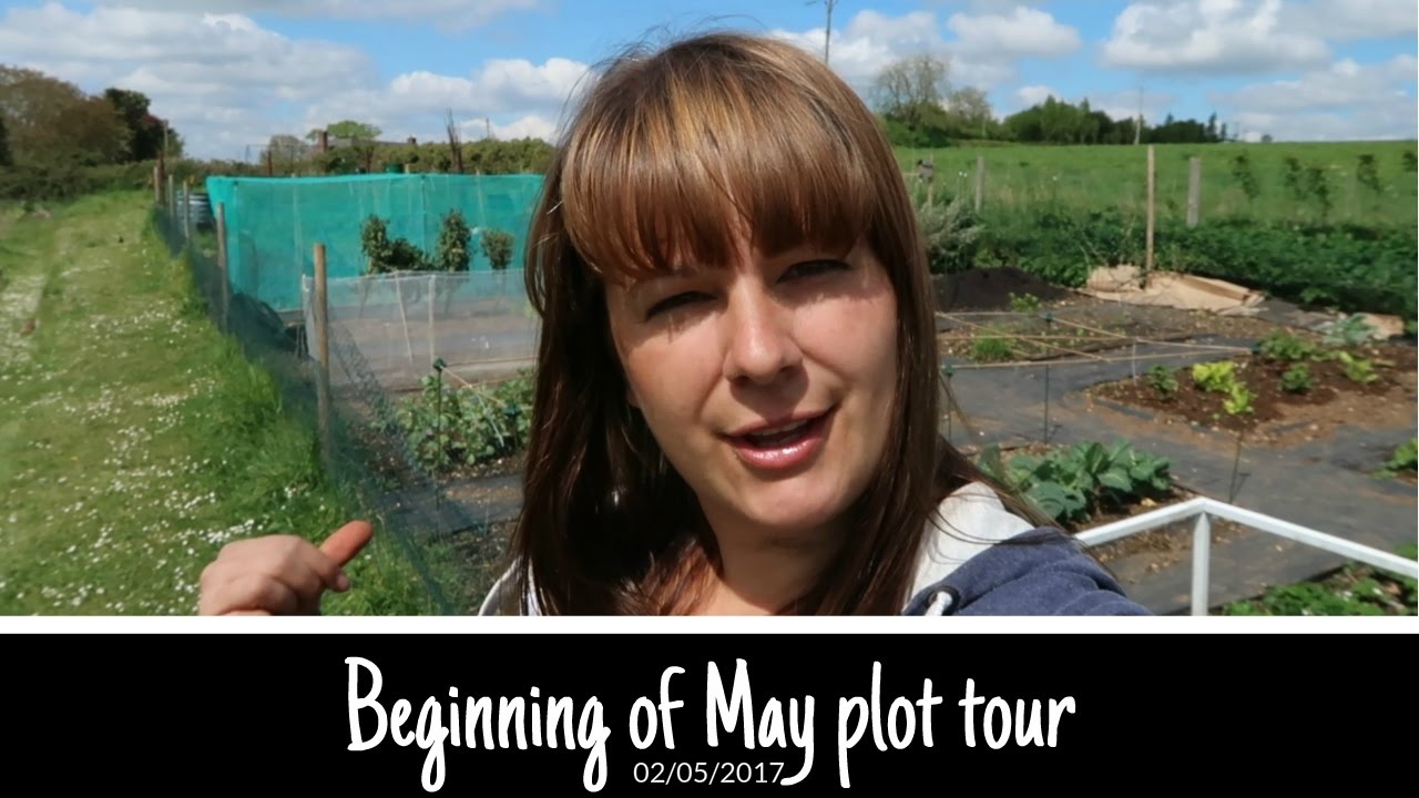 Beginning of May plot tour of the garden / allotment