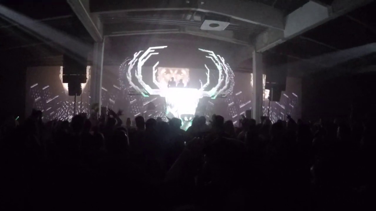 Liquid Ace at Psy-Nation CPH (1)