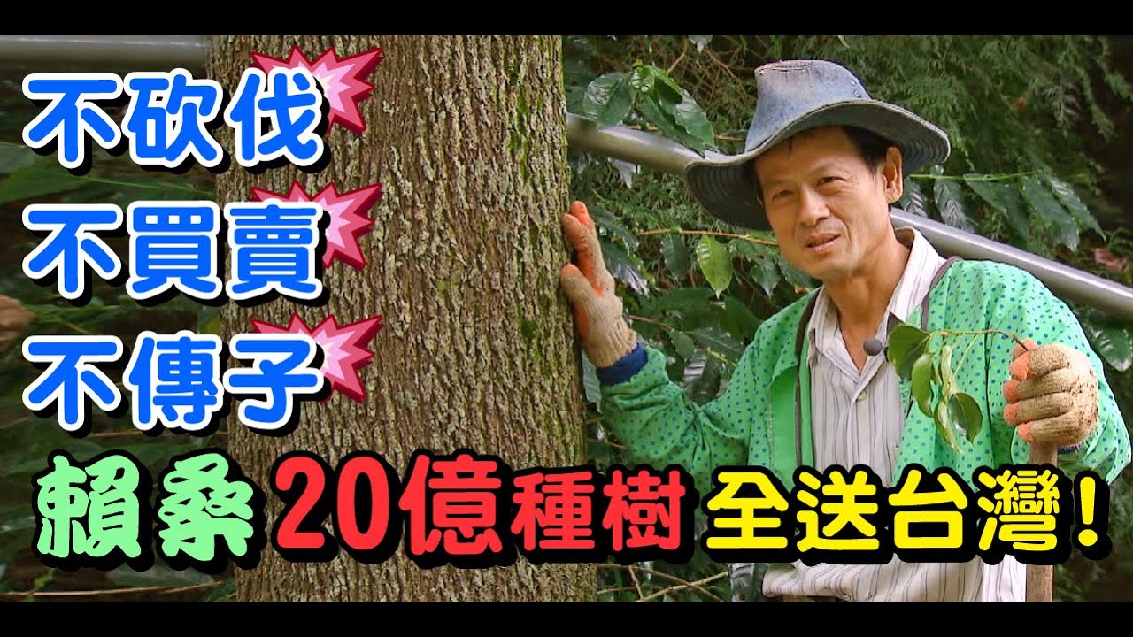 散盡家產種樹送台灣.賴桑的大雪山種樹人生-一步一腳印