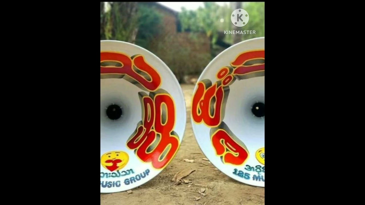 နှမလေးလိုခြင်းယူထား