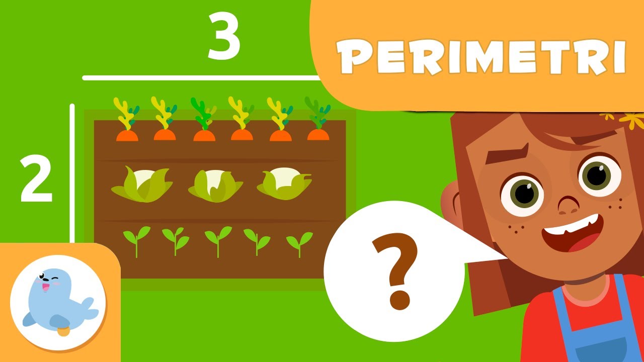 Cosa sono i perimetri? - Geometria per bambini