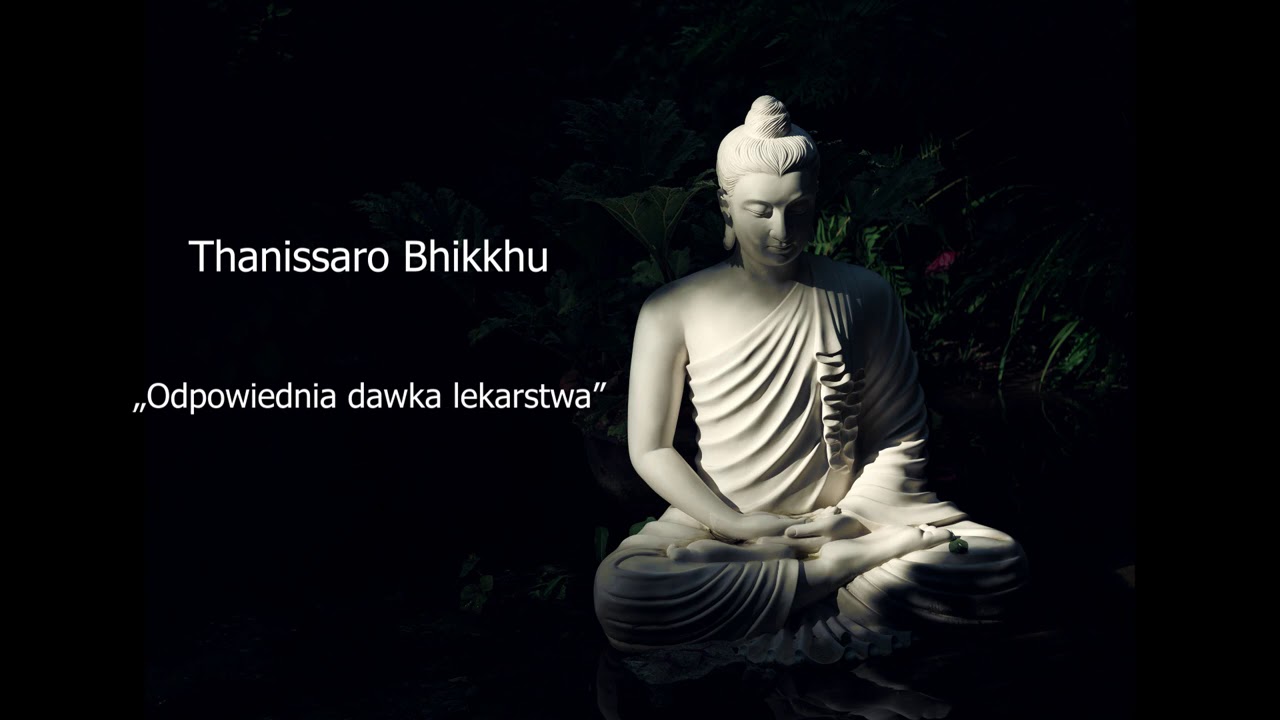 Odpowiednia dawka lekarstwa - Thanissaro Bhikkhu [LEKTOR PL]