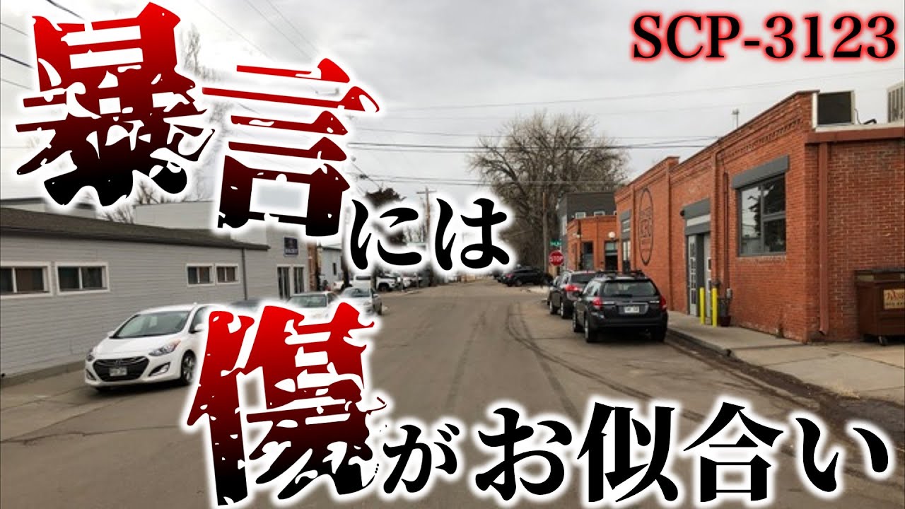 【ゆっくり解説】胸糞注意。暴言には傷がお似合い　SCP-3123