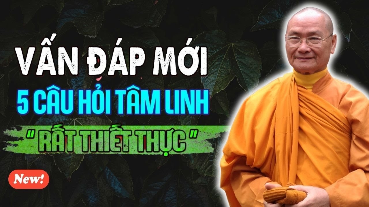 Vấn Đáp Thiết Thực 🙏 Bỏ Qua Là Tiếc Lắm | HT. Viên Minh