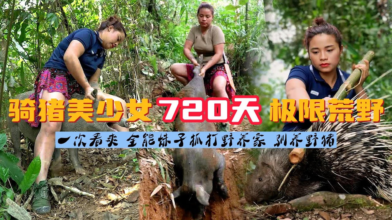 一次看爽之，寶兒荒野抓野豬馴養野豬養家720天全集，不僅是野豬，還有這極品豪豬山雞等，各種荒野山貨，那是是一看一個不吱聲啊！