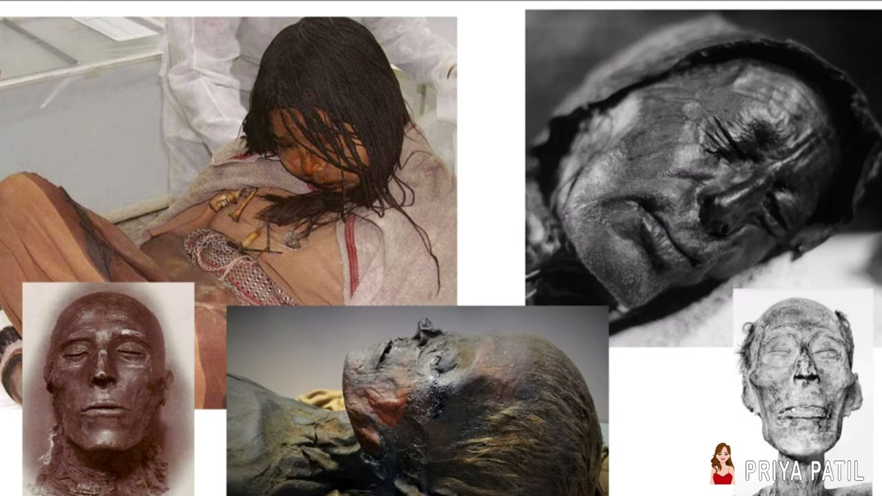 MUMMIFICATION   THE ART OF EMBALMING