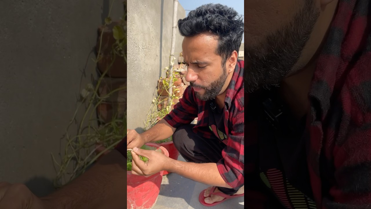 Parenchyma, collenchyma and sclerenchyma se ek sawal aata hai #dadhiwalesir #biology #science
