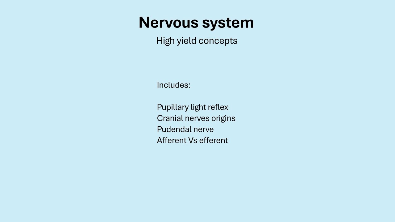 Nervous system; high yield concepts