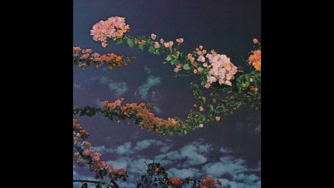 crystal garden [ sophie meiers x comodo ]