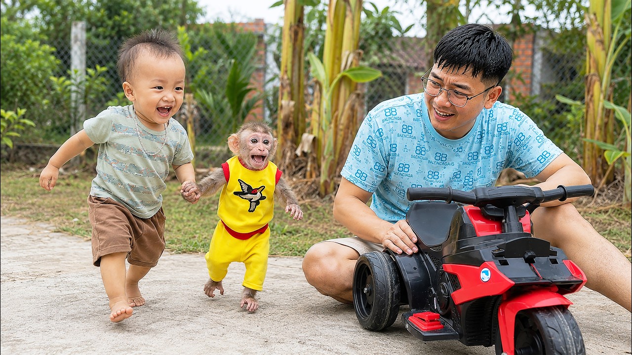Baby Monkey Finally Reunites With His Little Friend&mdash;His Happiest Day Ever 🥹❤️