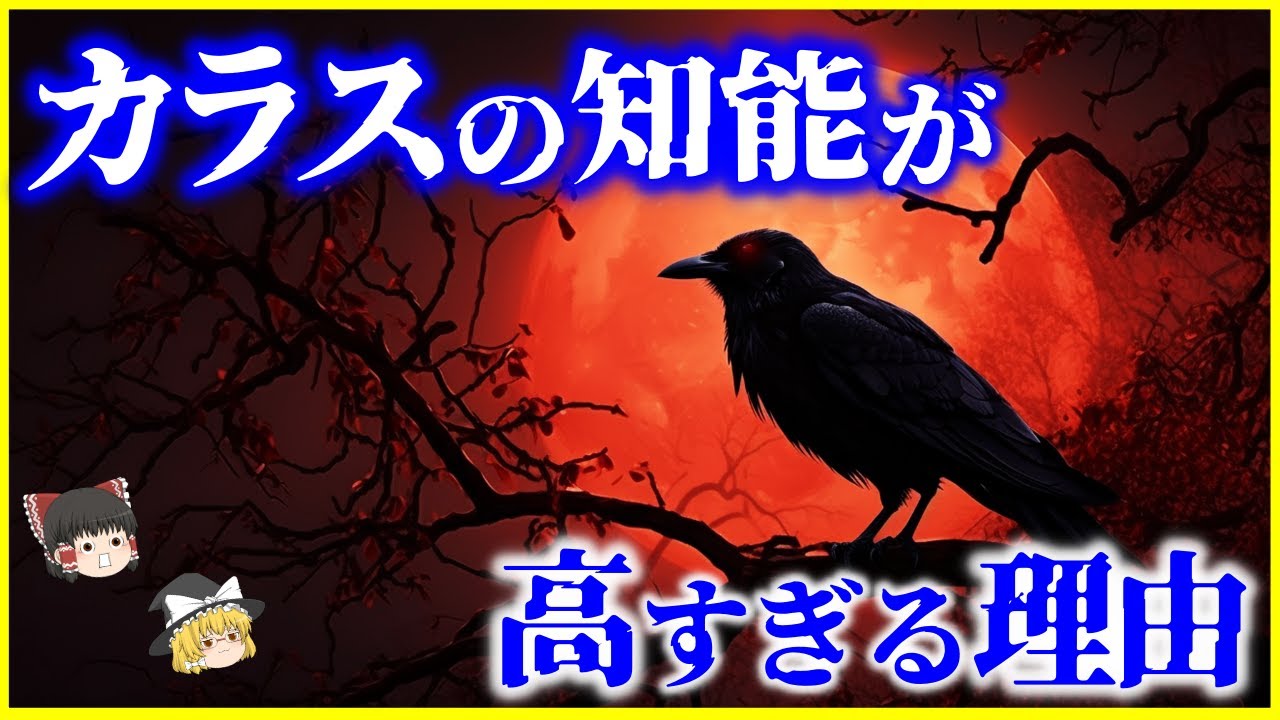 【ゆっくり解説】驚異的な能力と言語…「カラス」は何故賢いのか？を解説/知能が高すぎる秘密は感覚性意識⁉️