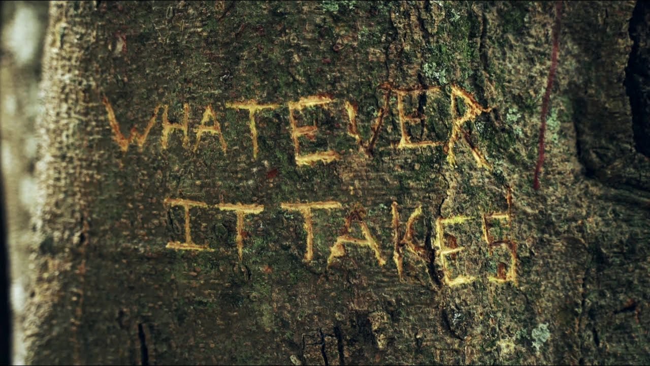 Whatever It Takes
