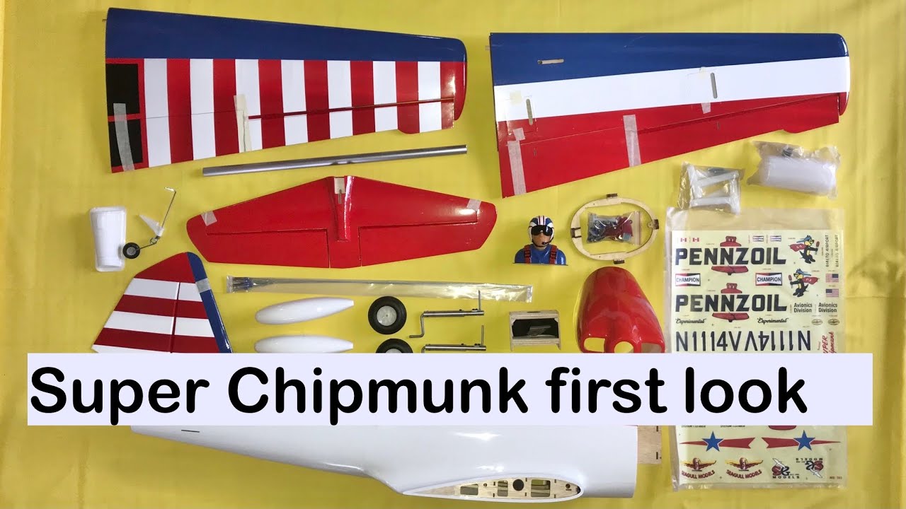 Super Chipmunk Seagull first look