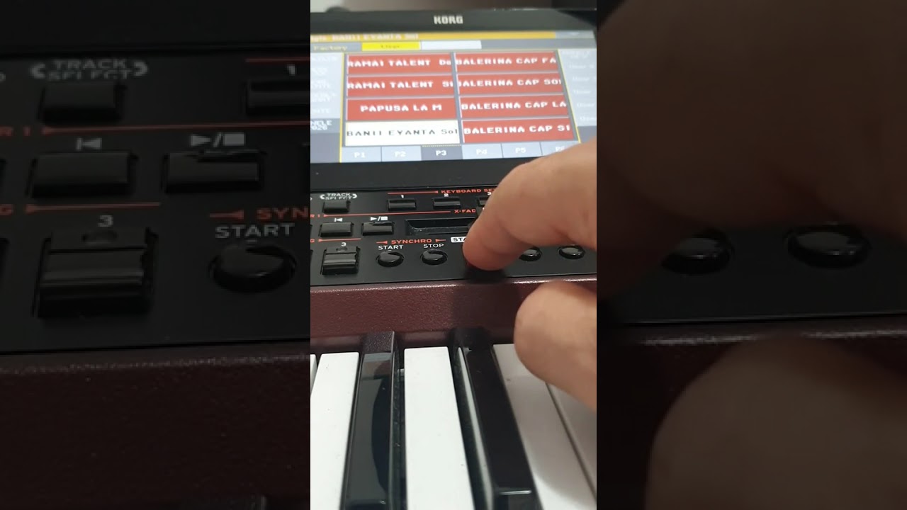 Korg pa1000,new 2026,telefon 0034643366509,preț 7mil jum🤗