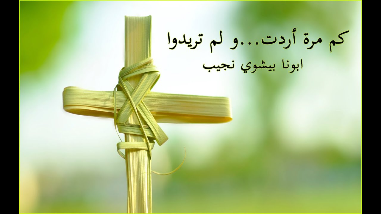 كم مرة أردت و لم تريدوا…ابونا بيشوي نجيب